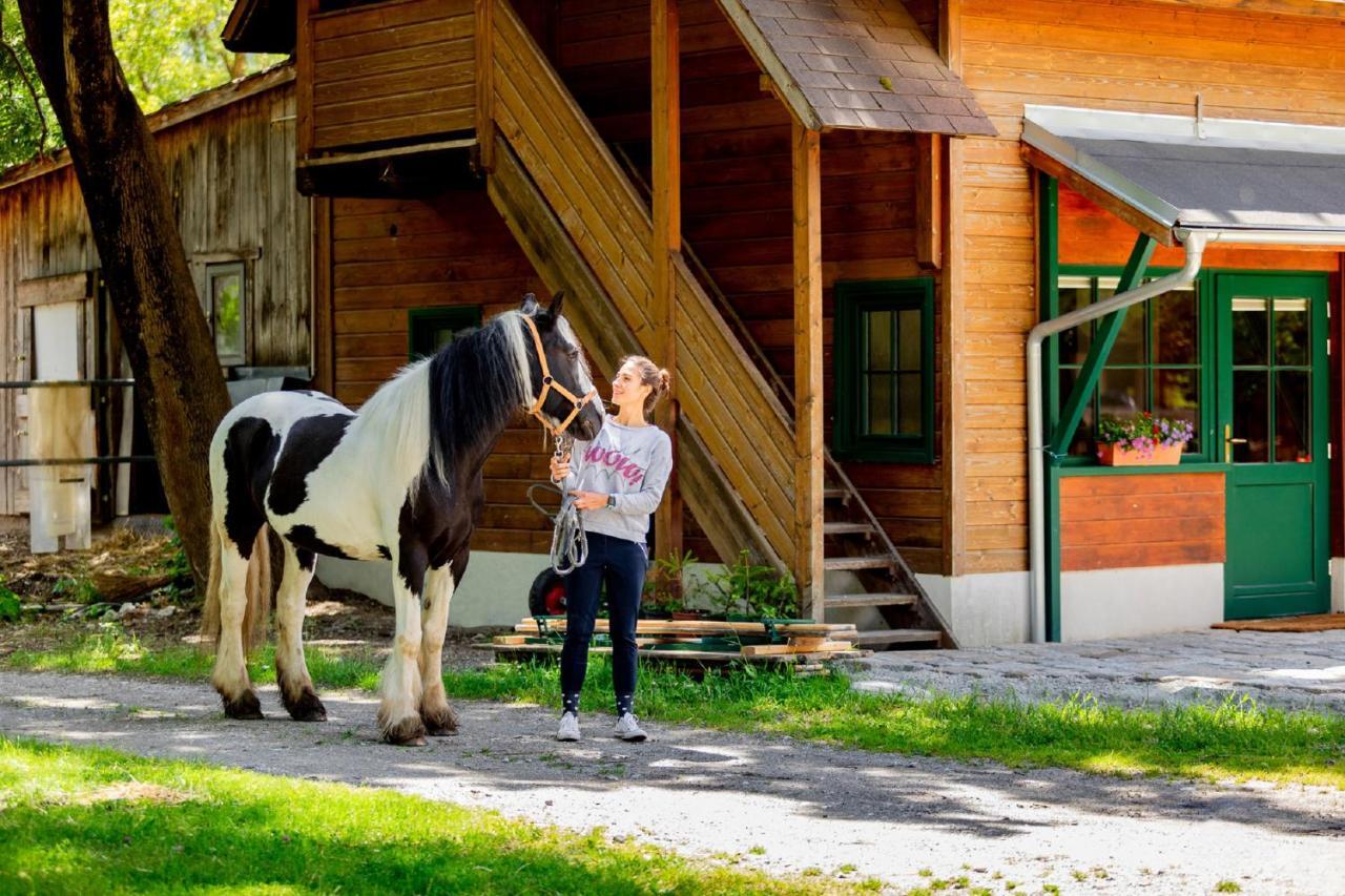 Ferienwohnung Pferdewelt Reichenau Exterior foto