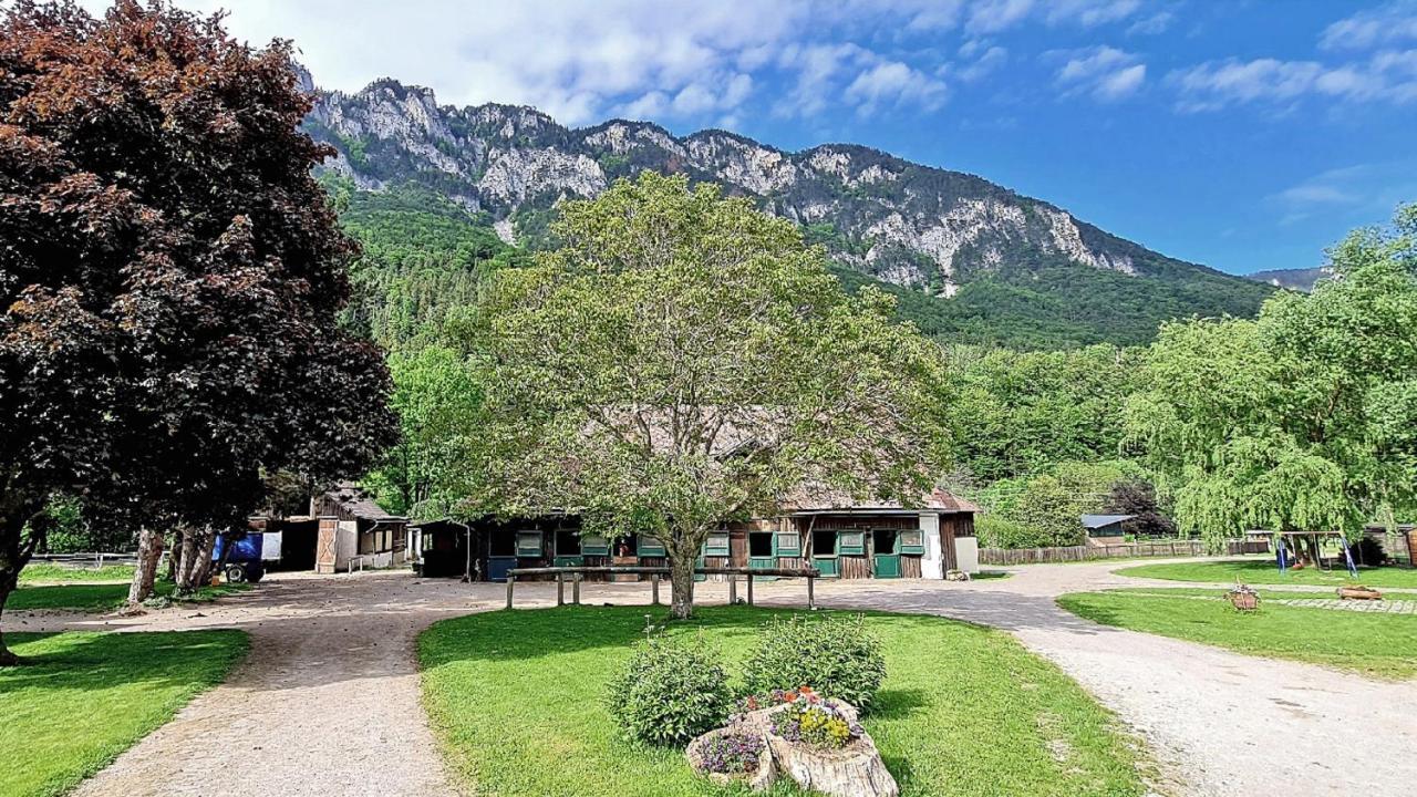 Ferienwohnung Pferdewelt Reichenau Exterior foto