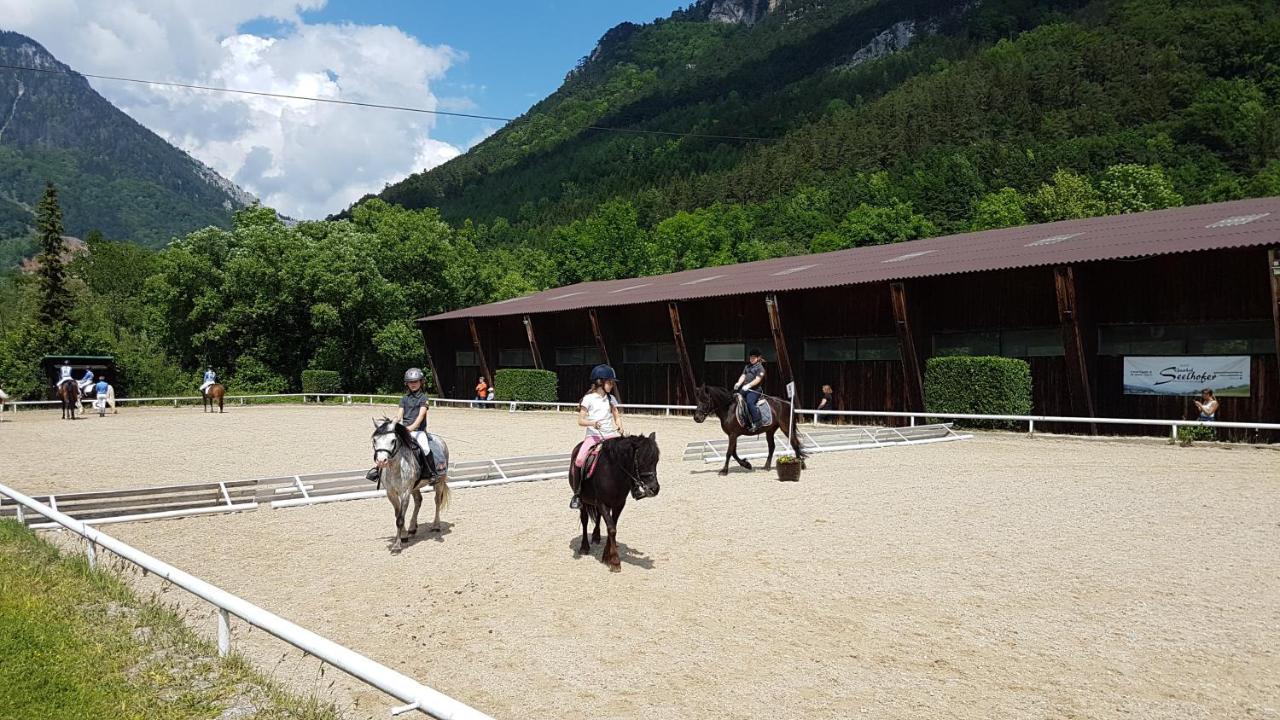 Ferienwohnung Pferdewelt Reichenau Exterior foto